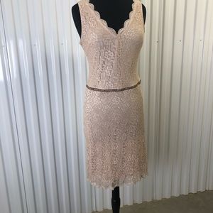 Alexia Admor Laced Sheath Silhouette. Preloved